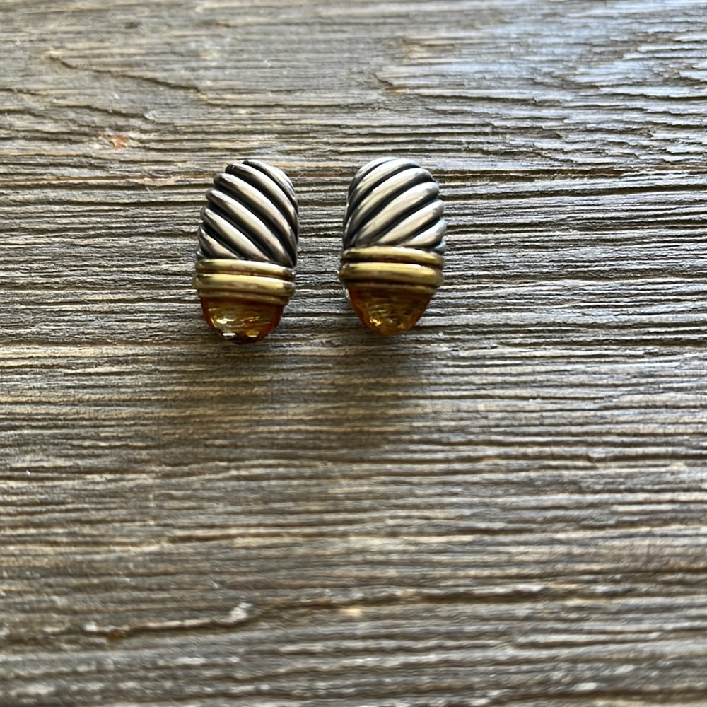 Elegant Two-Tone Earrings
